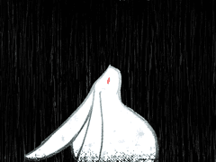 눈토끼가 없던 밤