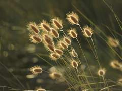 바람을 타고, 같이