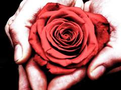 원하는거 있어?