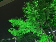 어느날일지 모르는, 어느 시간대일지 모르는 날들의 일기