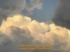 가지각색의 색으로 불꽃이 사방팔방 팡 터져오르는 밤하늘은 절경이었다