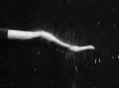 한 여름밤의 꿈