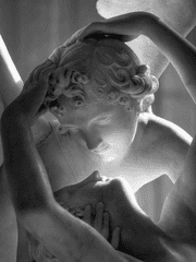 실패한 사랑의 기록