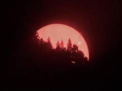 [도일희도] 단문 아귀(餓鬼)