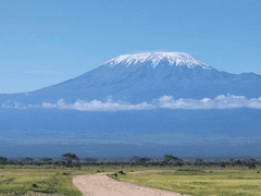 킬리만자로의 표범