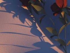 방갈로바 , 어떤 꿈