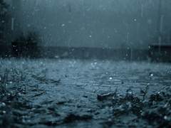 [레오츠카] 우리는 낙원에서 추방당했습니다.