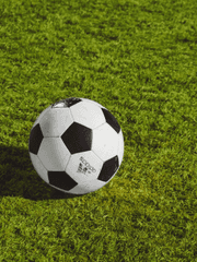 INA11(전 시리즈) - 팬픽션 단편 모음