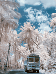 [식훈] 꽃잎이 지기 전에 [END]