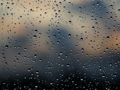 [선우보영] 우산은 없지만