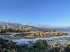 평일 아침 몬가네