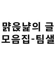먉읁냝의 팀샐 글 모음집