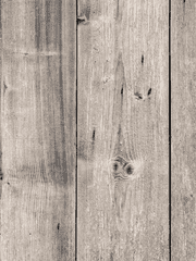 단간론파 어나더