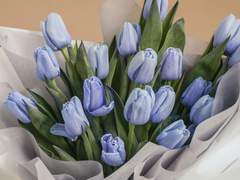 내게 너가 전부인 것을 너는 알까.