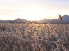 [주원동식] 1. It’s time to