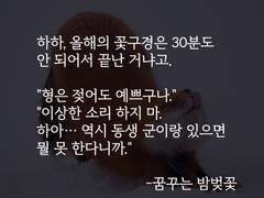 히이린_꿈꾸는 밤벚꽃