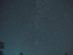 여름밤에 하고 싶은 것