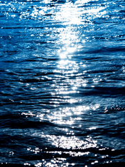 존경하는 나의 선배님