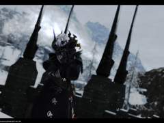 팦14 신생 플레이타래 백업 3