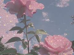 빌어먹을 프로미네이드 댄스!