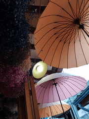 연애는 귀찮지만 로맨스는 좋아!