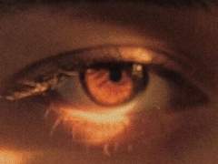 질문을 해주세요.