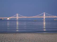 QnA 14 (22 웹진 이야기 多多)