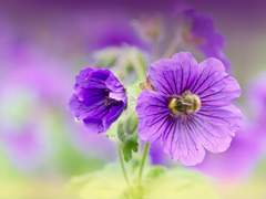 우리는 이걸 난장판이라고 부르기로 사회적 합의를 봤어요 (1)