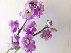 [다온신우] 사랑일까요