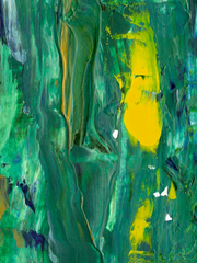 노피카의 하우징