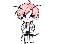 포코 | 20 | 너울단지