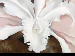 [랩진] 잘생긴 김석진은 완전 괜찮아 (외전 2)