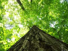 처음이라 서툴러