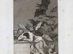 이성의 수면은 괴물을 낳는다.