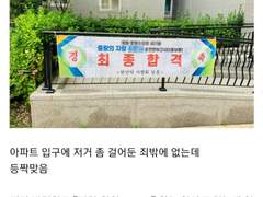 문대배세 쫌쫌따리 13