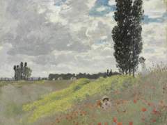 [노아클라] 오몽