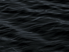 어쩌면 진실엔 이유가 필요했다 (0)