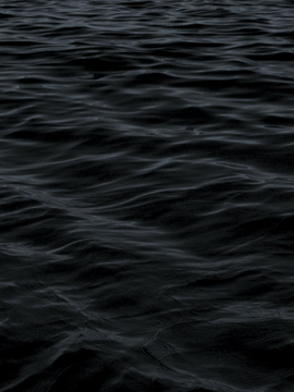 어쩌면 진실엔 이유가 필요했다