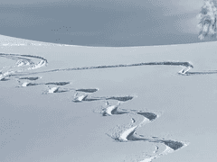 [다나 이리스/XX/호그와트 후플푸프/순혈]