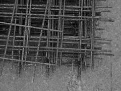 좋아하는 맛이야