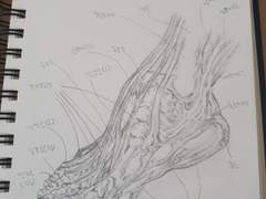 2022년 6월 스터디