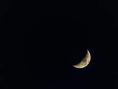 페리도트/의장/2017