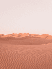 Nec possum tecum vivere nec sine te