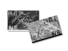 밀랍인형폭렬학원가