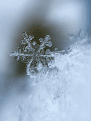 [이누야샤/BL] 후애