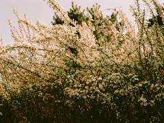 안녕은 언제나 쉽지 않은 말