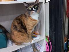 이건 내꺼예요!