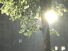 비 내리던 새벽