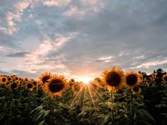 [레귤해리] my seraphic evil 上