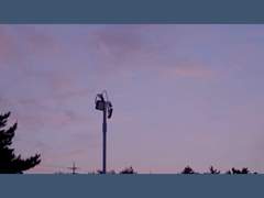 [비잼] tropical love